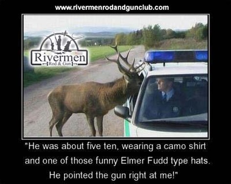 elk and police